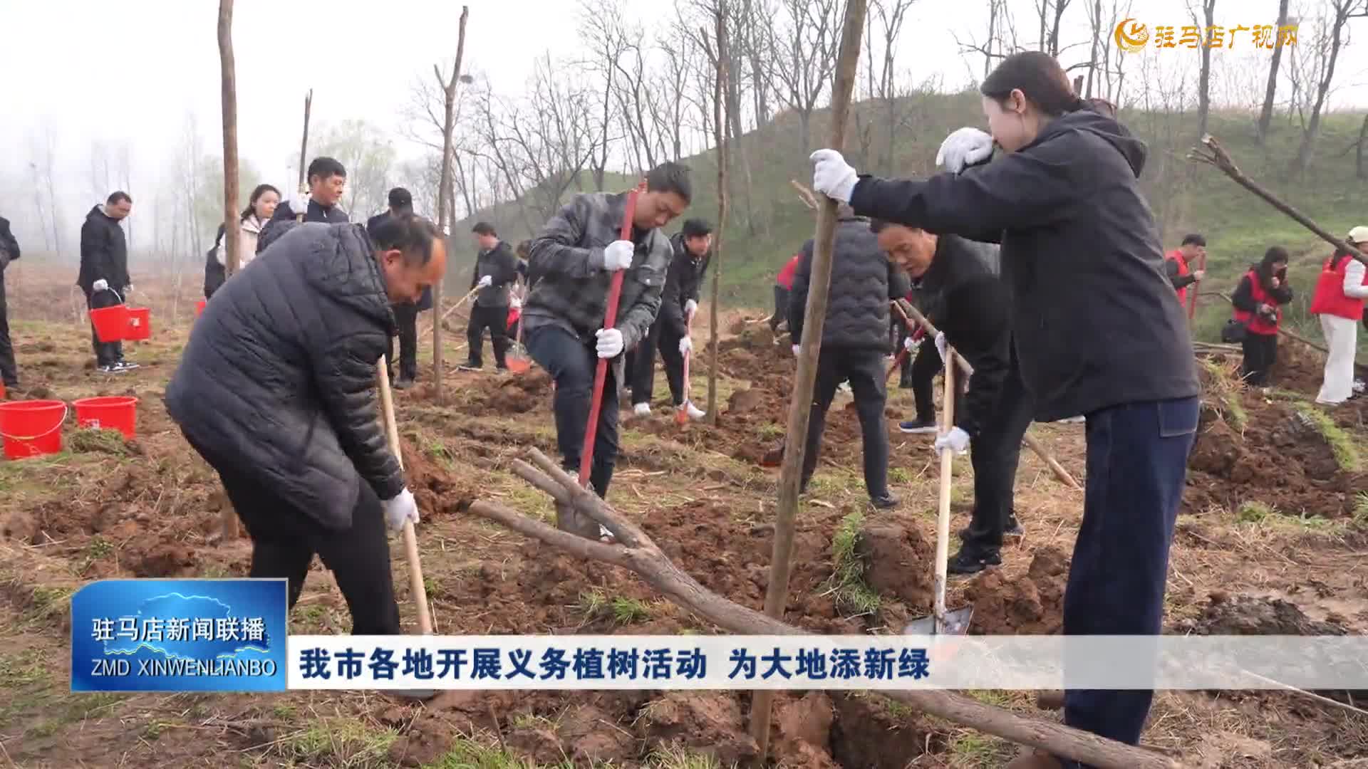 我市各地开展义务植树活动 为大地添新绿