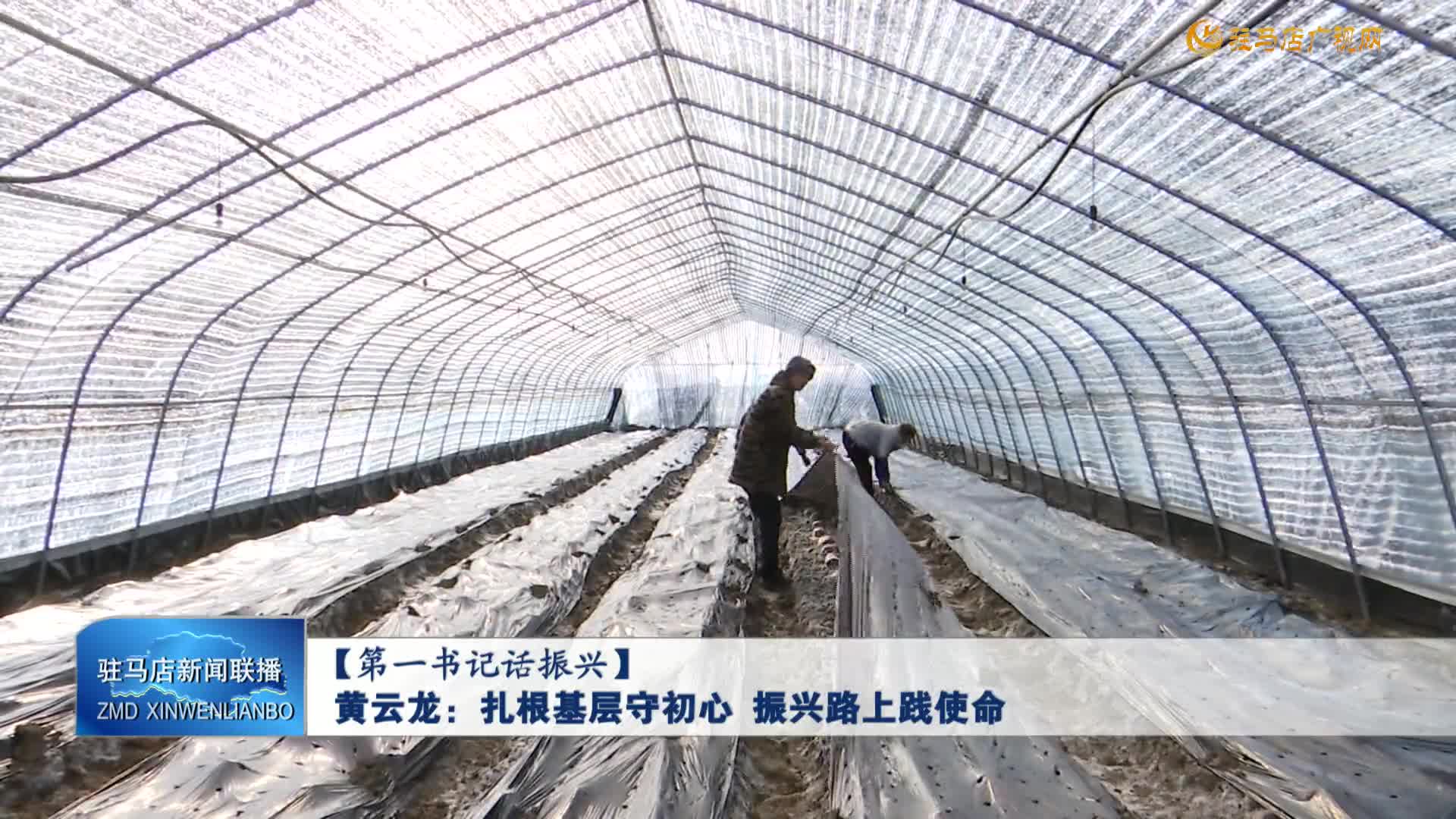 【第一书记话振兴】黄云龙：扎根基层守初心 振兴路上践使命