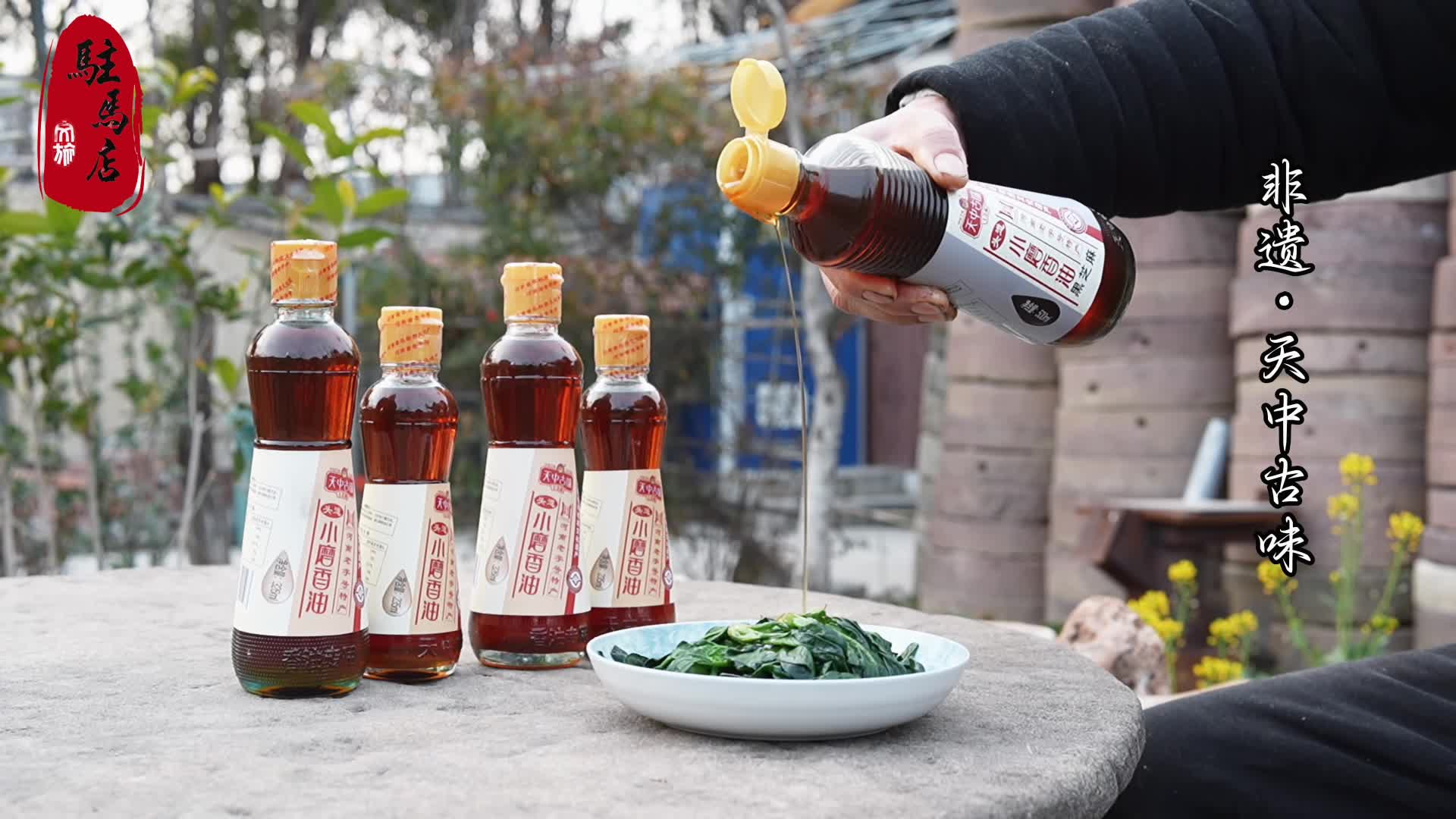 天中文脉承千载，非遗风华耀九州#非遗文化#驻马店