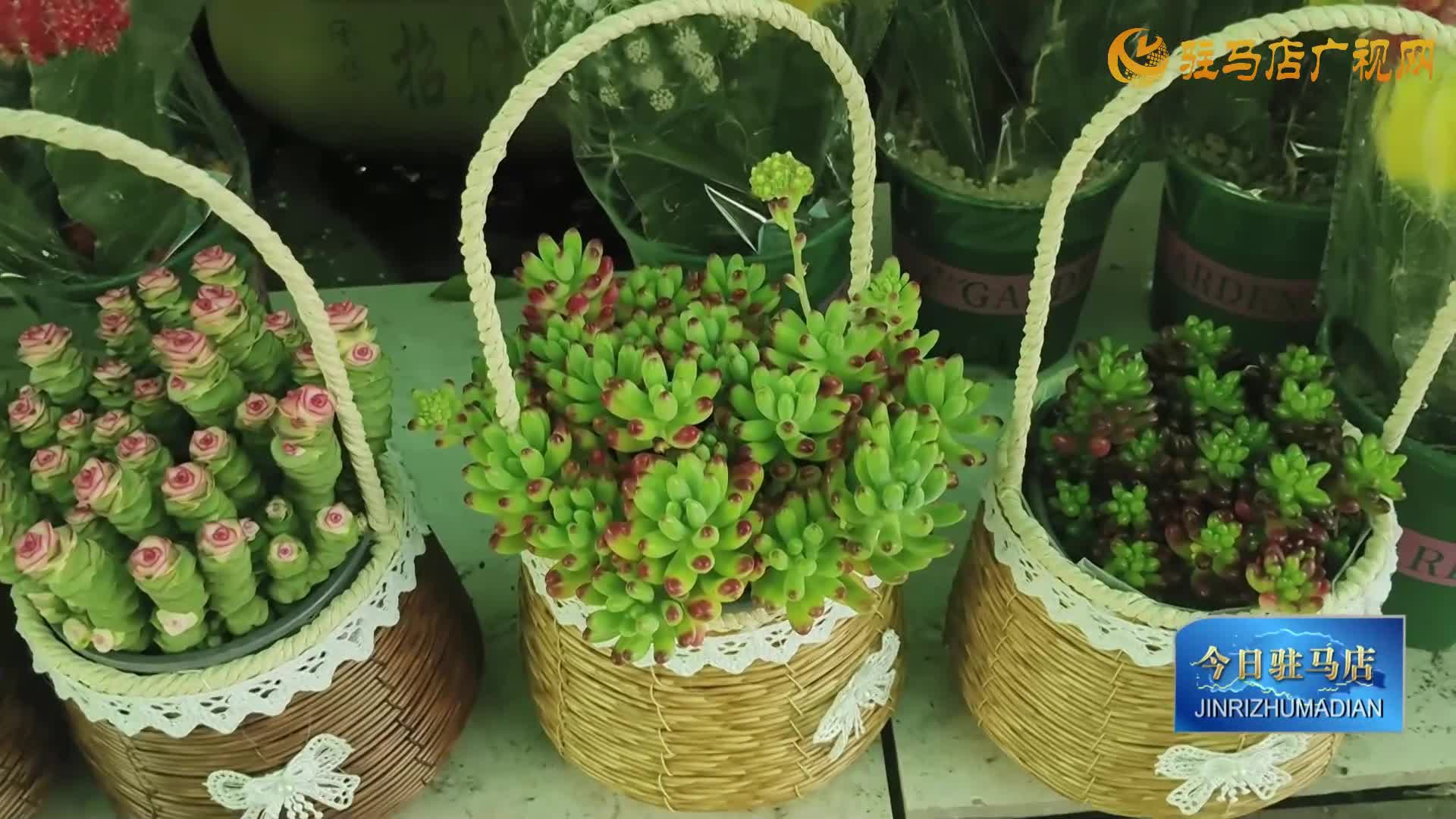春植正当时 我市花卉市场迎来购销高峰