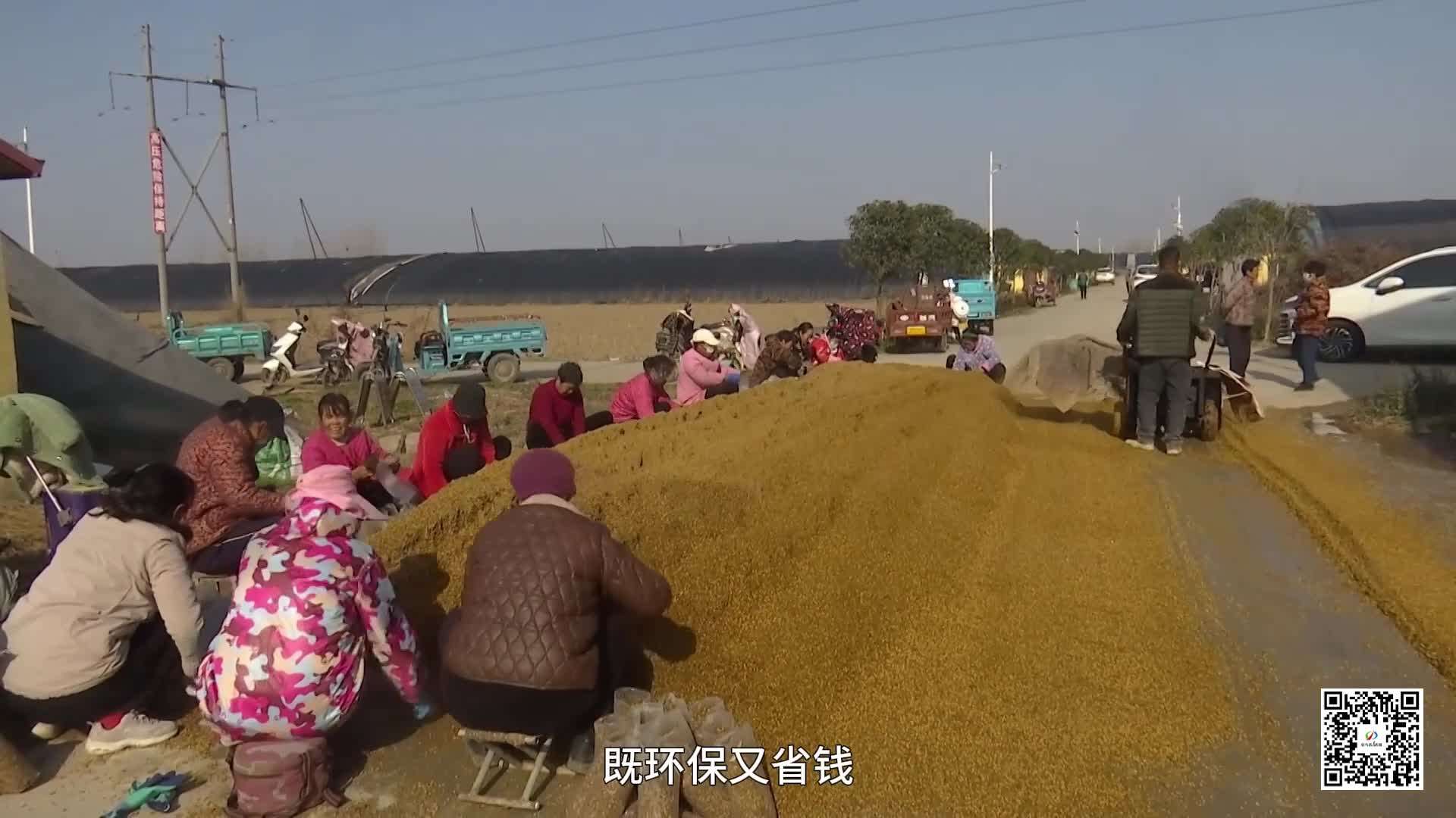 驻马店：秸秆 “生金” 促循环 蹚出绿色发展新路径 ......|《今日驻马店》资讯第246期