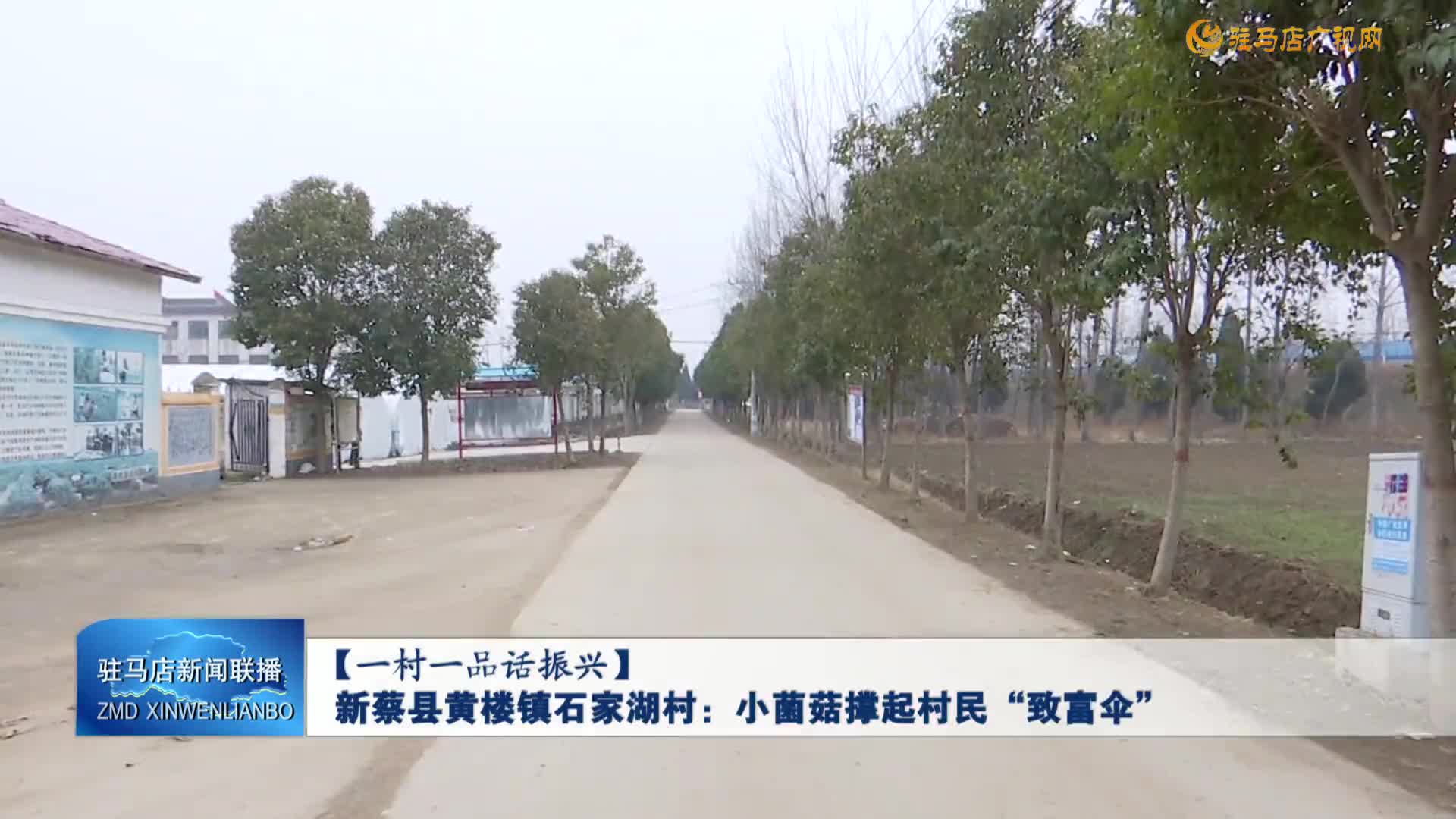 【一村一品话振兴】新蔡县黄楼镇石家湖村：小菌菇撑起村民“致富伞”