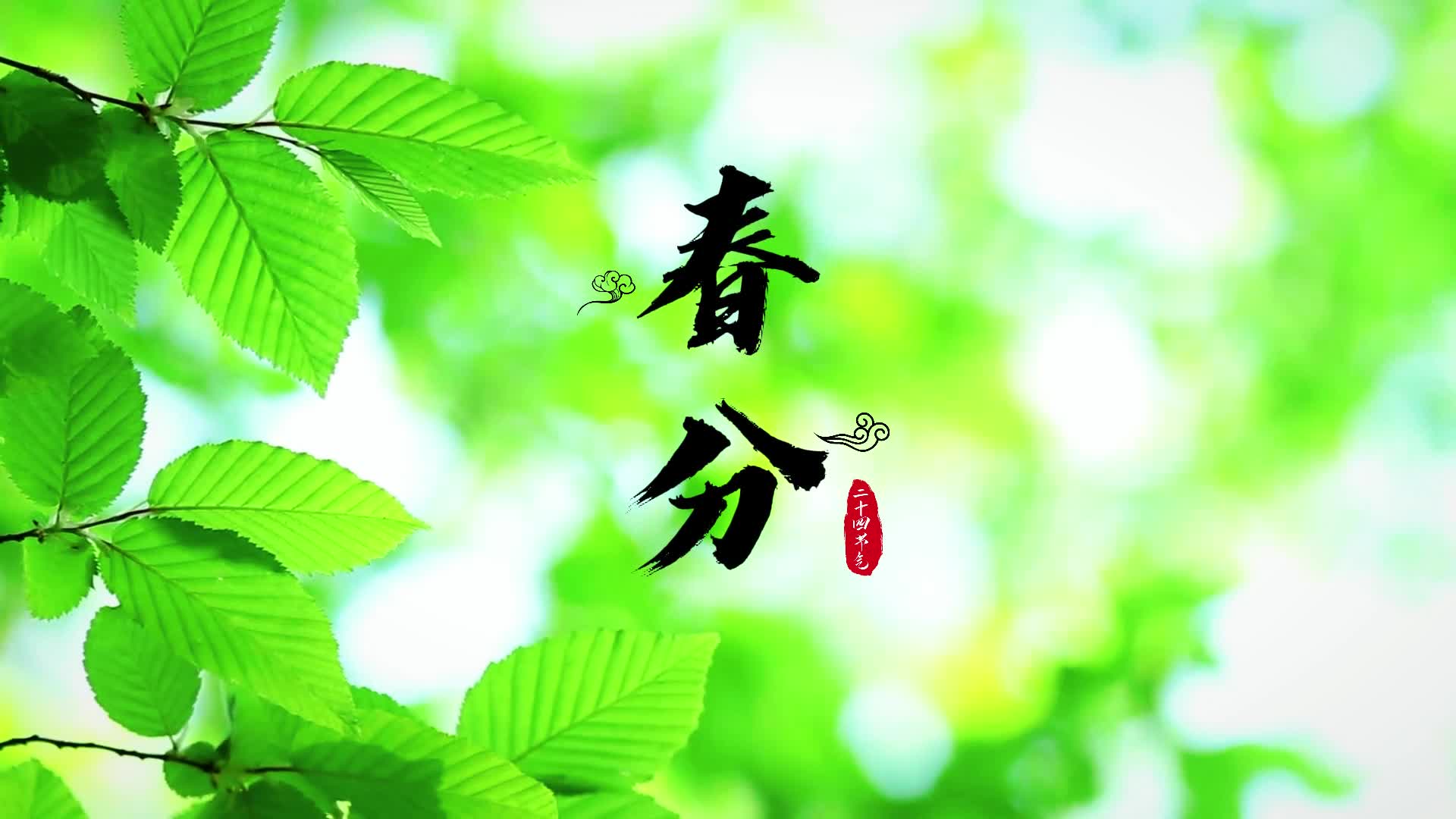 春分：阴阳相半，衣冠载道；身心平衡，不负春光