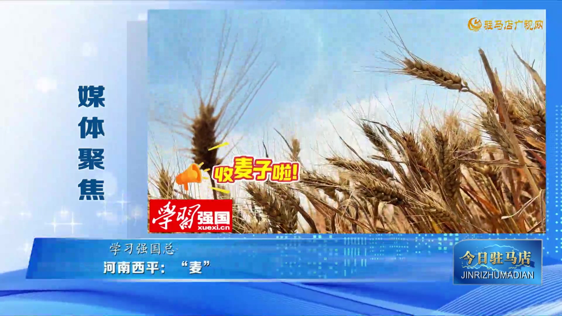 【媒体聚焦】河南西平：&ldquo;麦&rdquo;向丰收