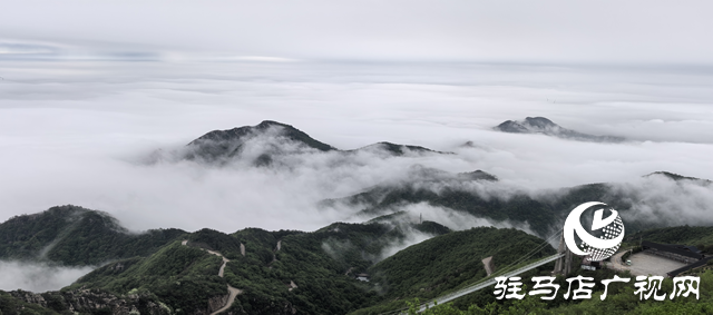 【大美天中】驻马店老乐山：云海翻涌映翠峰 引客醉游于云端