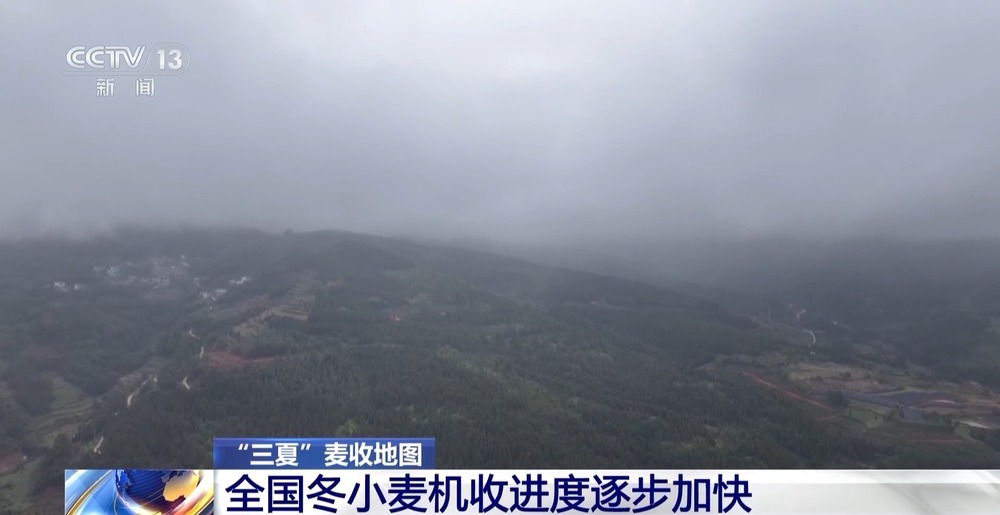 收获进度18.18% 全国冬小麦机收进度逐步加快