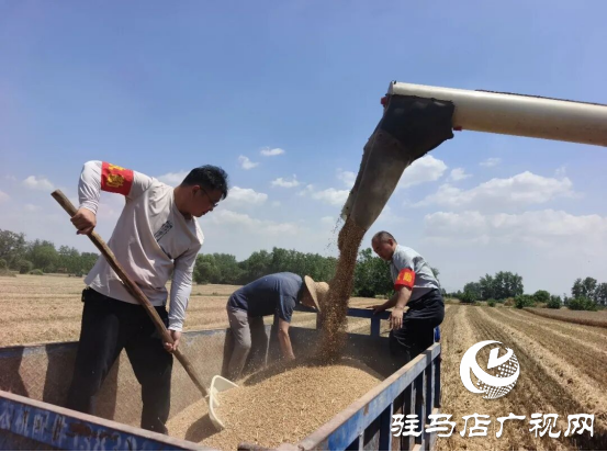 正阳县汝南埠镇：全力以赴抓实三夏生产 护航小麦颗粒归仓