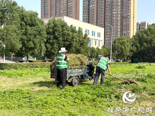 驻马店：提升环境护民生 &ldquo;一园两馆&rdquo;绿化整治焕新貌