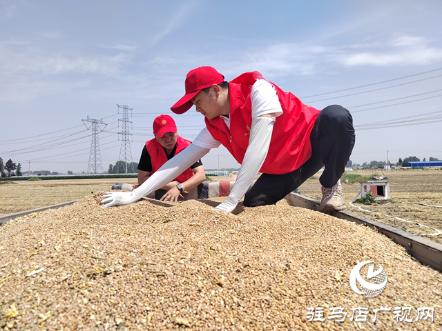 驻马店市交通运输局：田间地头践初心 助农抢收保夏粮