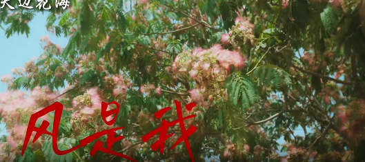 用歌曲《望》打开驻马店，邀你领略山河壮阔
