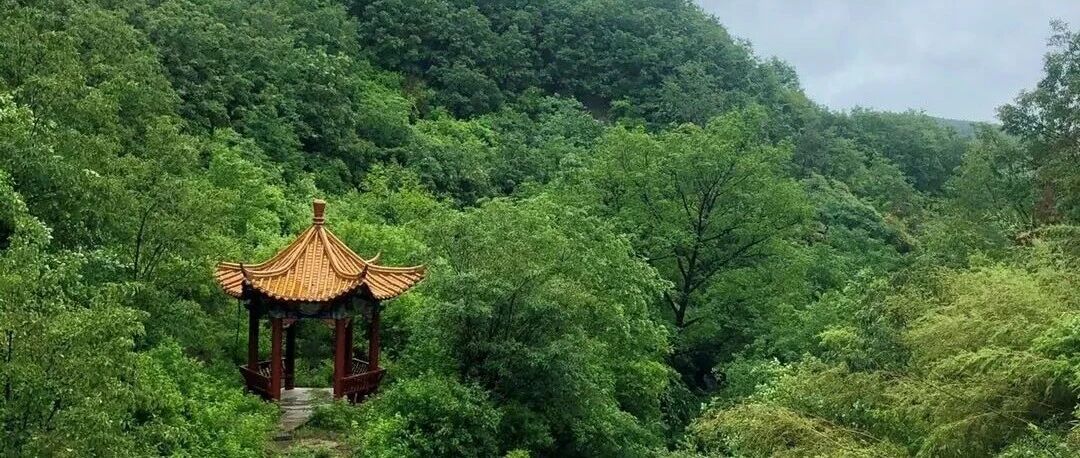 春深四月 邂逅泌阳白云山景区