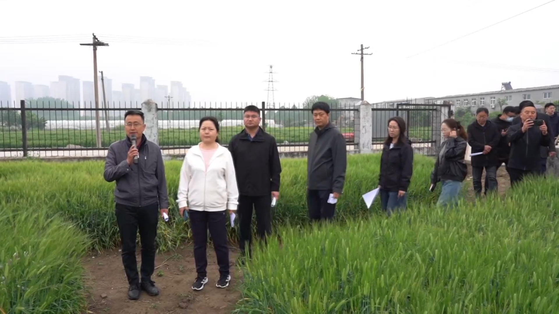 驻马店市农科院举行2026年度春季试验示范基地观摩活动