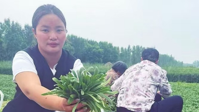 新蔡县青蔬鲜研食品有限公司：蒸菜闯出大市场