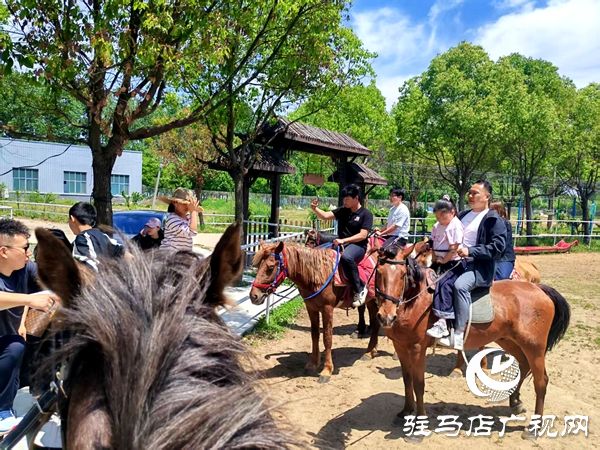 五一畅游平舆李屯小毛驴农场 骑马观花尽享田园乐趣