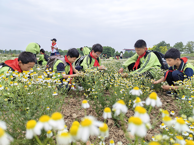 玫香探科&middot;筑梦成长 驻马店市第五十一小学研学实践点亮成长之路