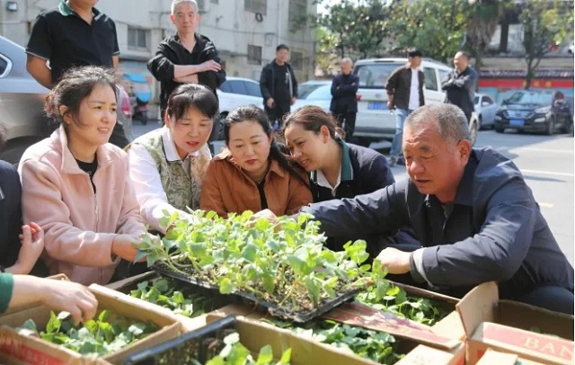 确山县盘龙镇：小瓜苗托举大希望