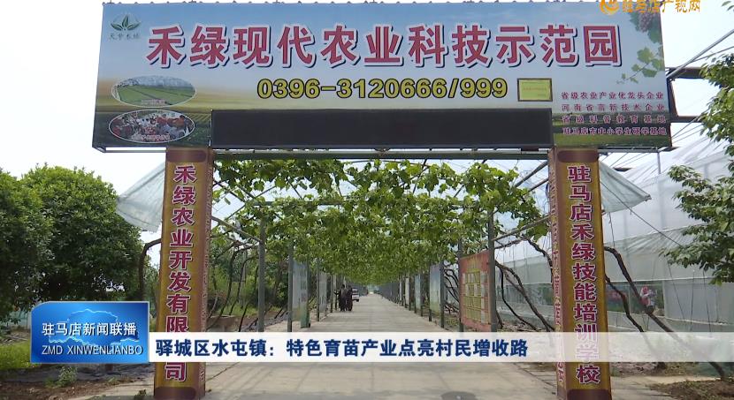 驿城区水屯镇：特色育苗产业点亮村民增收路