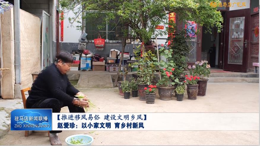 【推进移风易俗 建设文明乡风】赵爱珍：以小家文明 育乡村新风