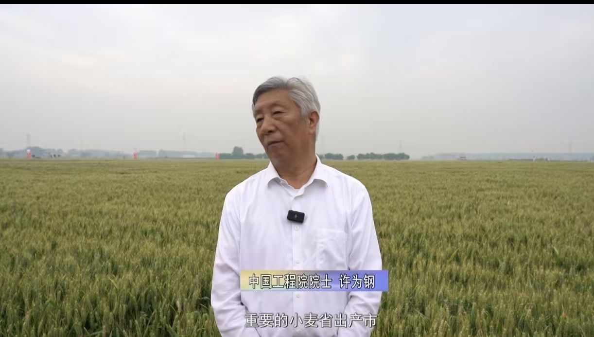 驻马店市小麦大面积单产提升暨国审郑麦1860现场观摩会