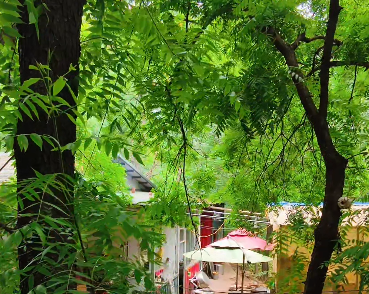 避暑纳凉好去处&mdash;&mdash;蚂蚁山