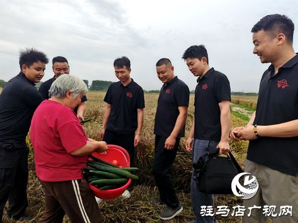 平舆小伙免费为八旬老人收麦 村民拿出自种黄瓜西红柿致谢