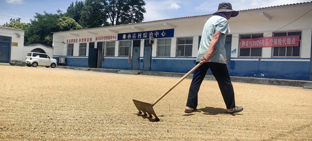 驿城区香山街道：抢抓晴好窗口期 抢收抢种保丰收