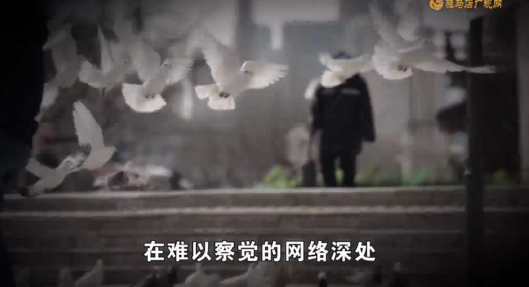 《守护：警惕身边的泄密风险》第三集