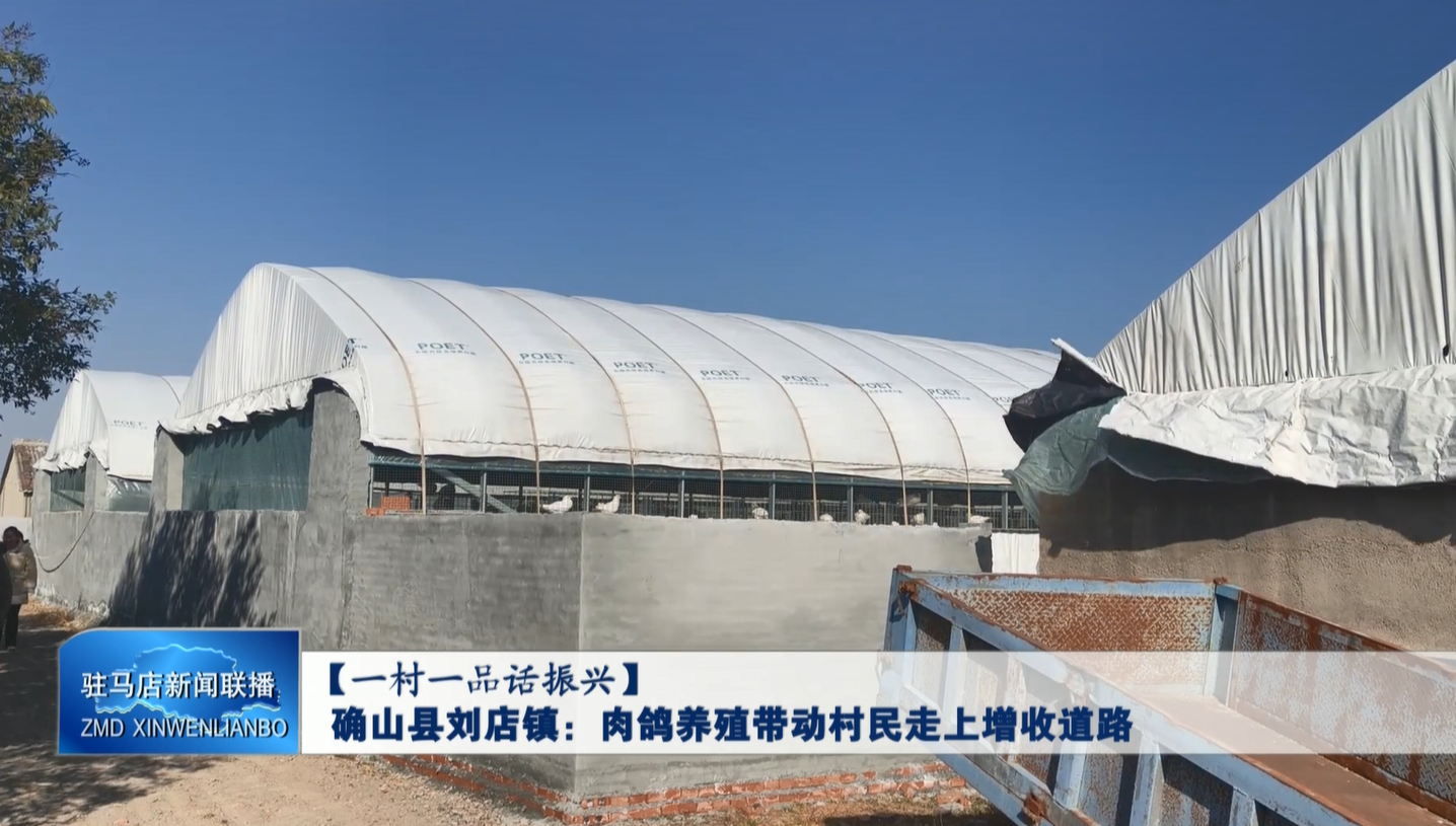 确山县刘店镇：肉鸽养殖带动村民走上增收道路