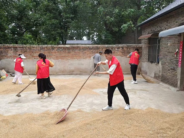 确山县任店镇：志愿服务助&ldquo;三夏&rdquo; 全力护航粮丰收