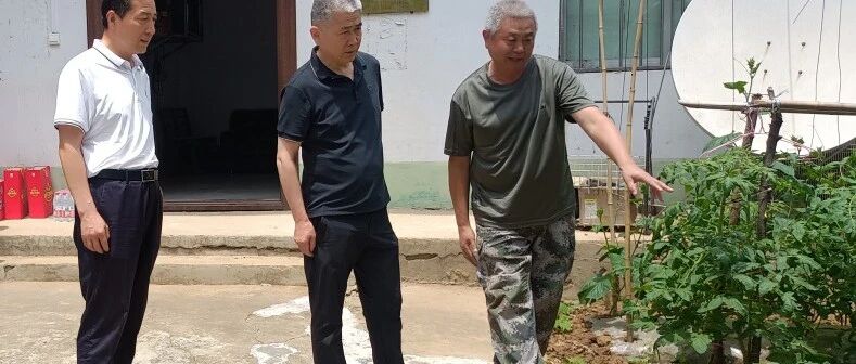 市文广旅局驻村工作队 助力闵庄村夏粮抢收圆满收官