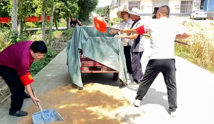 新蔡县顿岗乡：多措并举抓实抓细 全力护航&ldquo;三夏&rdquo;生产