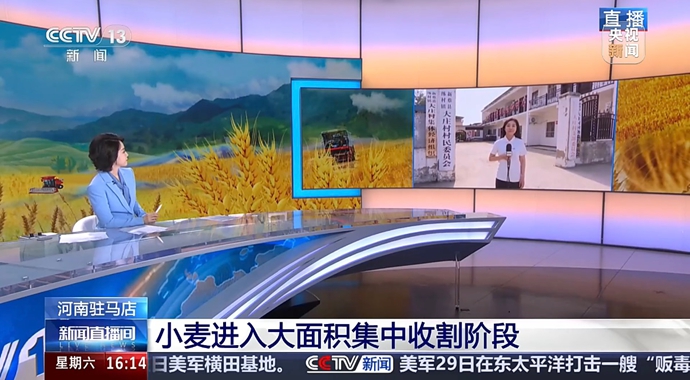 央视报道新蔡：三夏麦收正当时 暖心服务保障农机手&ldquo;如到家&rdquo;