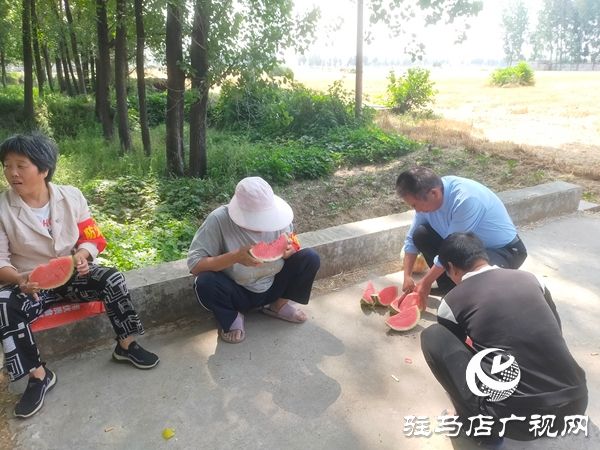 平舆县阳城镇：耄耋党员献爱心 炎炎夏日送清凉