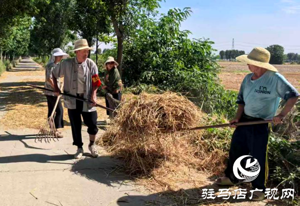 深耕网格护家园 实干履职暖民心&mdash;&mdash;记平舆县西洋店镇潘营村委网格员张金斗